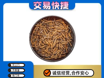 孝感高价回收散虫草